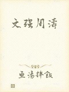 文强周涛