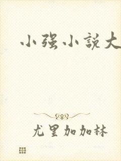 小强小说大全封面