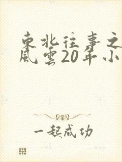 东北往事之黑道风云20年小说下载封面