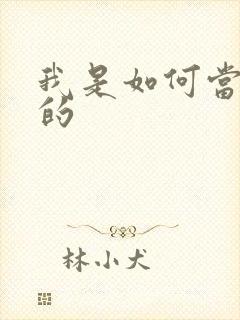 我是如何当神豪的