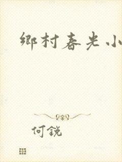 乡村春光小说