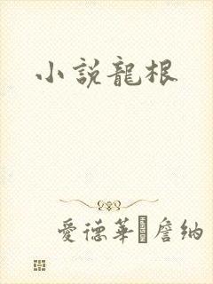 小说龙根
