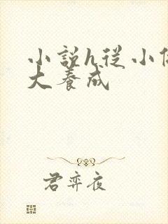 小说h从小做到大养成