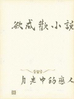 欲成欢小说封面