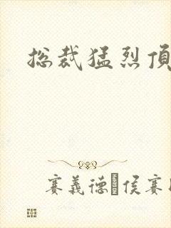 总裁猛烈顶弄h