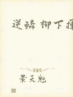逆鳞 柳下挥封面