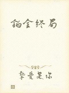 铂金终局