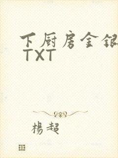 下厨房金银花露 TXT封面