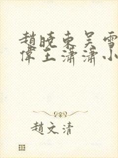 赵晓东吴雪晴郑伟王潇潇小说封面