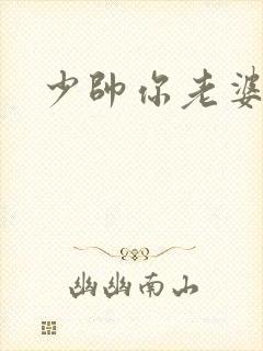 少帅你老婆