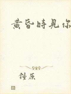 黄昏时见你封面