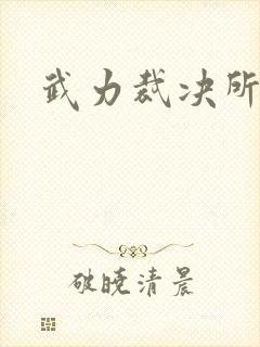 武力裁决所