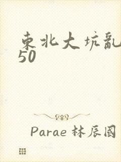 东北大坑乱1—50封面