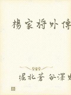 杨家将外传