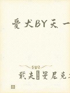 爱犬BY天一