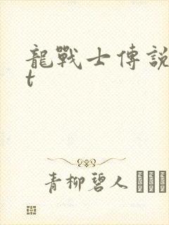 龙战士传说txt