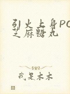 引火上身POP芝麻糖丸封面