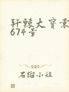 轩辕大宝袁雪妃674章封面