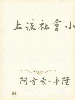 上流社会小说