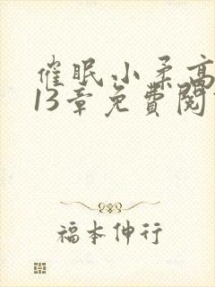 催眠小柔高达第13章免费阅读