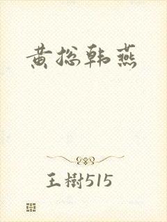黄总韩燕封面