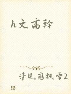 h文高干封面