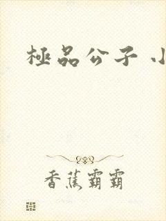 极品公子 小说