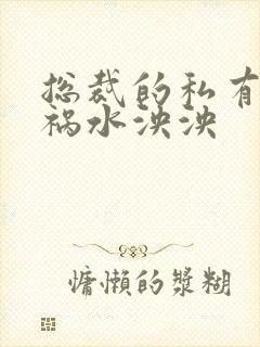 总裁的私有宝贝祸水泱泱