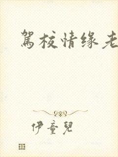 驾校情缘老赵