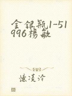 金银瓶1-51996杨敏封面