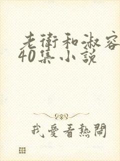 老卫和淑容1-40集小说封面