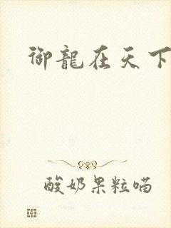 御龙在天下载