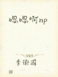 嗯嗯啊np封面
