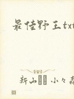 最佳野王txt