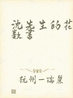 沈先生的花式调数书