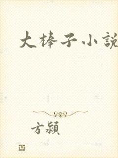 大棒子小说