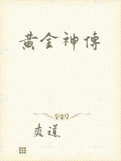 黄金神传封面