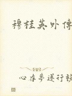 穆桂英外传