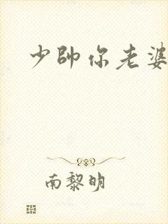 少帅你老婆