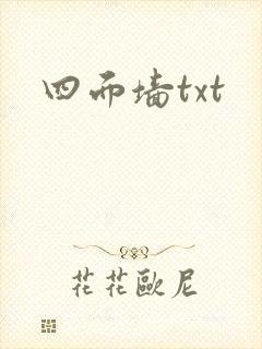 四面墙txt