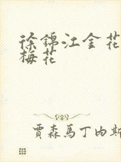 徐锦江金花瓶楷梅花封面