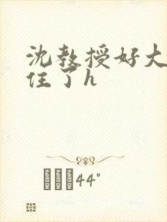 沈教授好大含不住了h
