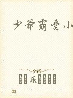 少爷霸爱小丫头