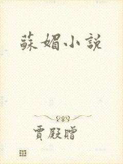 苏媚小说