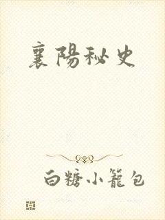 襄阳秘史