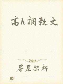 高h调教文