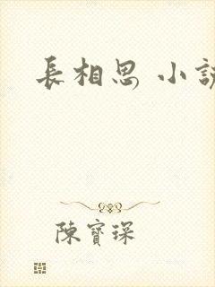 长相思 小说