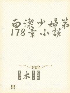 白洁少妇第1一178章小说封面