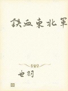 铁血东北军