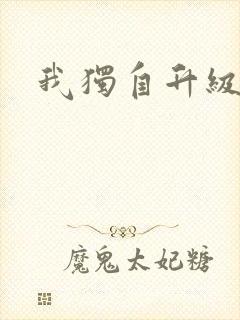 我独自升级2